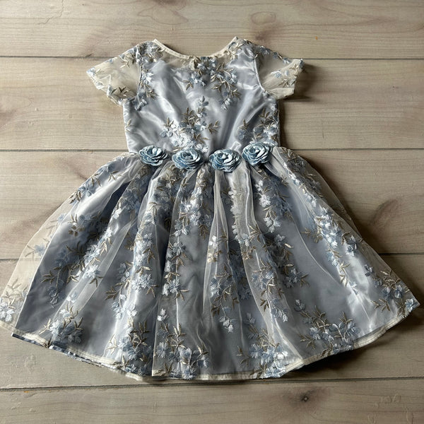 Chasing Fireflies Blue Embroidered Floral Dress