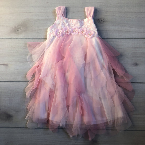 NEW Biscotti Fancy Pink Tulle Ruffled Dress - Sweet Pea & Teddy