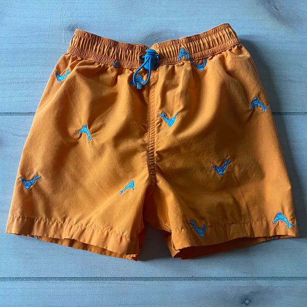 Hartstrings Orange Blue Embroidered Dolphin Swim Trunks