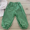 The Smocking Bug Green Gingham Oufit