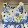 Gymboree Blue Hydranga Dress