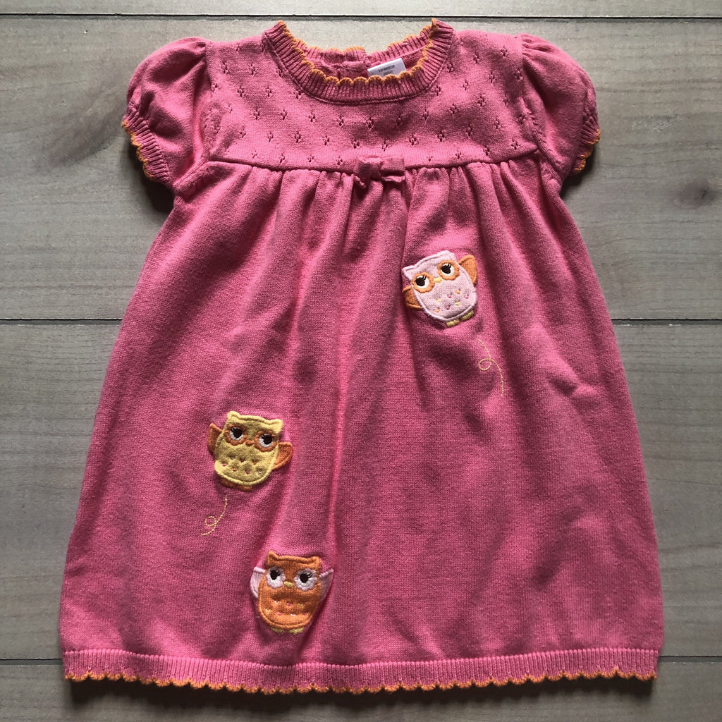 Gymboree Pink Owl Applique Sweater Dress - Sweet Pea & Teddy